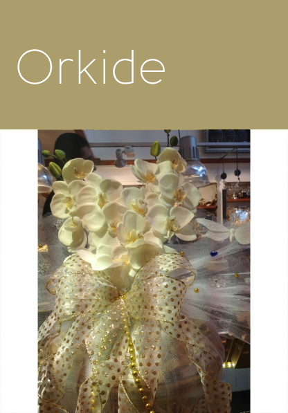 Orkide