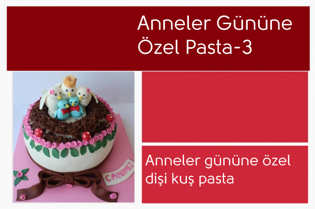 Anneler Gününe Özel Pasta-3